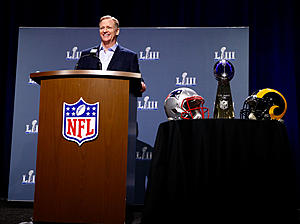 Goodell: &#8216;Our Officials are Human&#8217;
