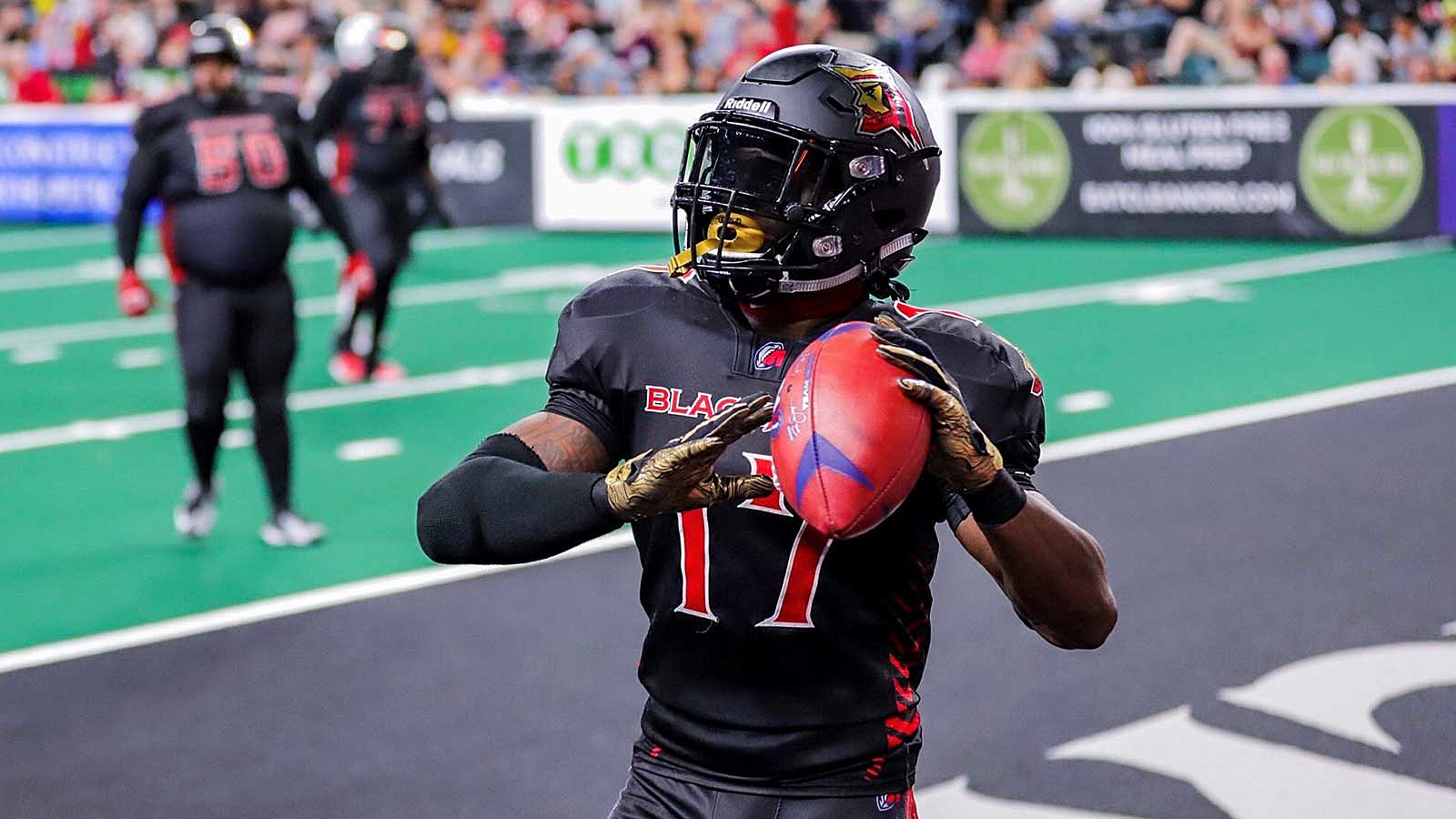 Arena Football League's future in doubt, suspends team operations