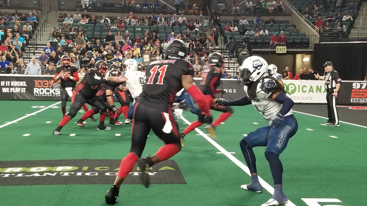Arena Football League Officially Ceases Operations