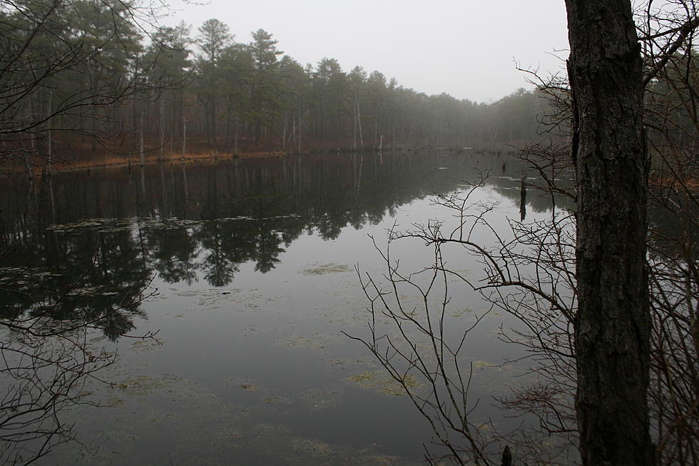 Take a Hike! A Quick Guide to Exploring Nature Around South Jersey