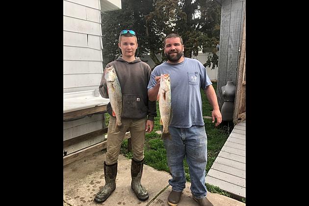 Tide Runner Weakfish Showing in South Jersey Swims