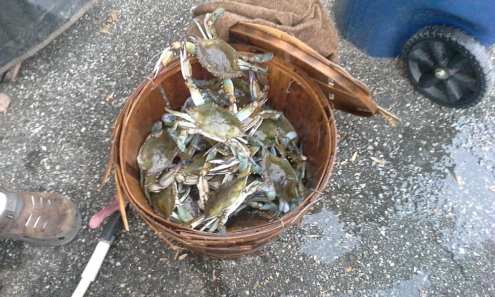 Crabbing in South Jersey Before the Crowds Arrive