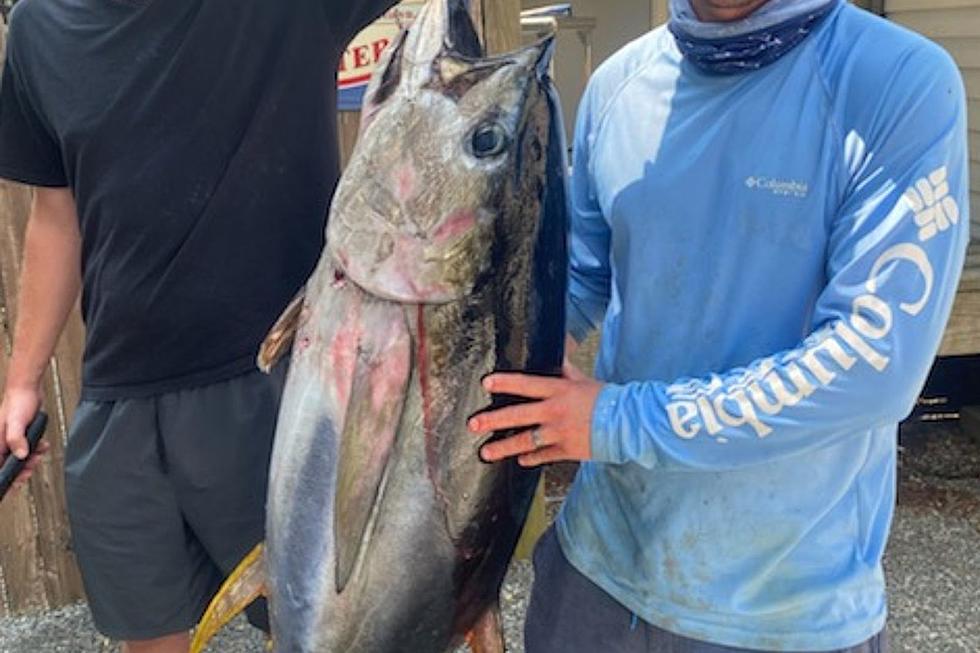 The Tuna Chunk Is Turning On in South Jersey