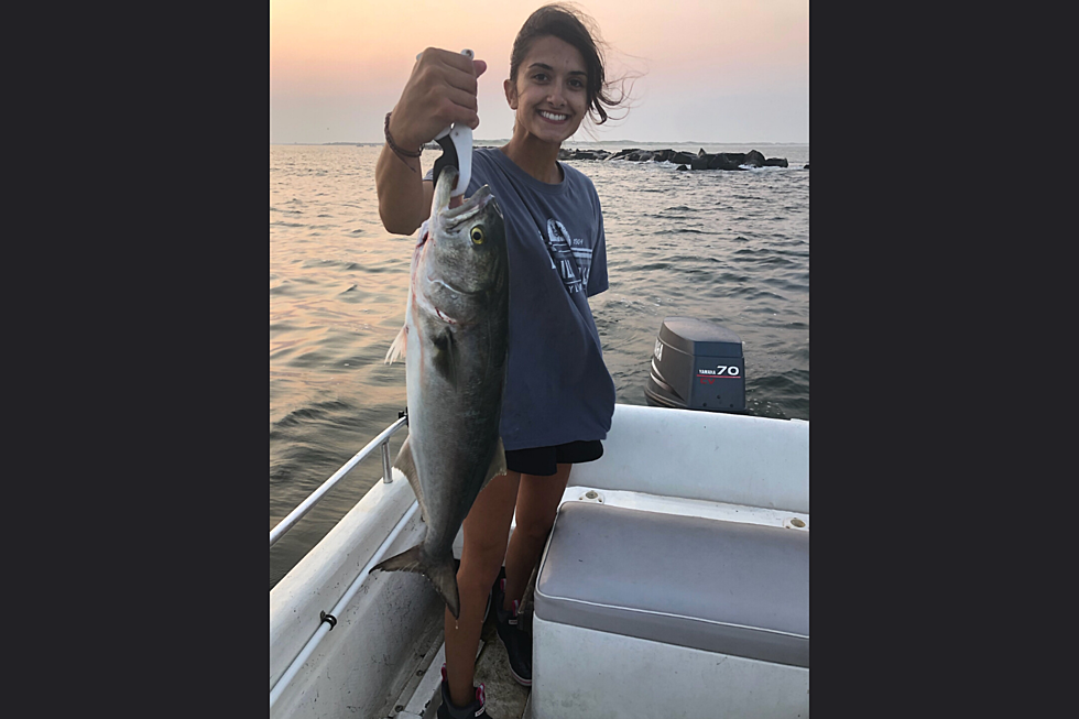 Fishing: Bluefish On the Move in South Jersey