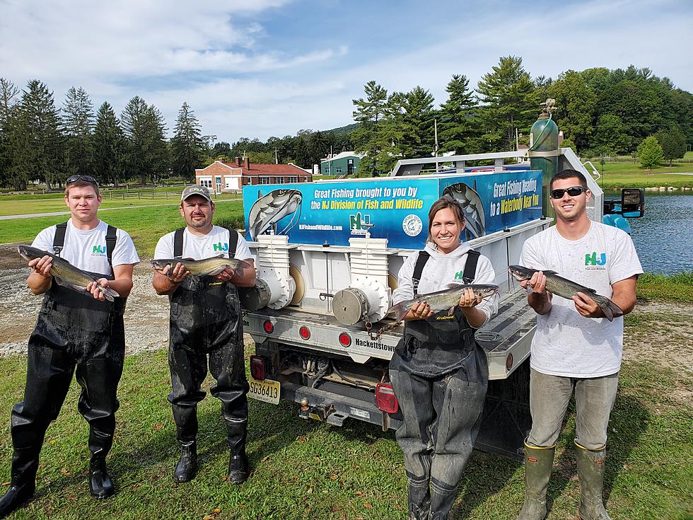 Channel Catfish Stocked This Week in South Jersey