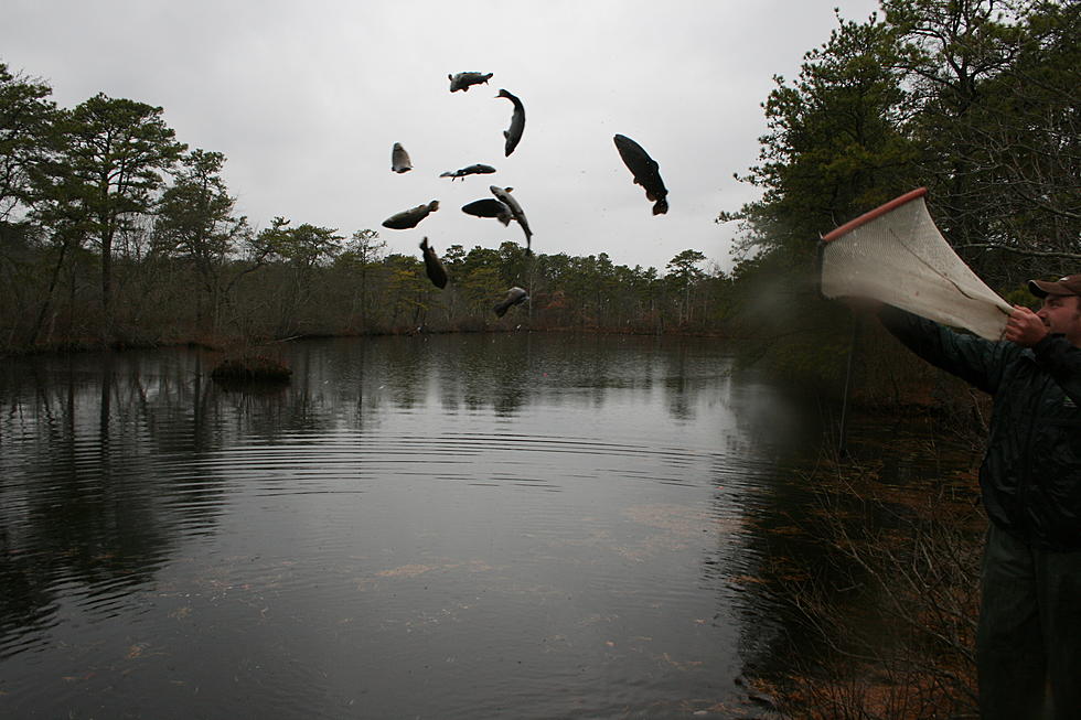 Winter Trout Stocking Today and Tomorrow