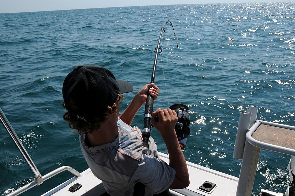 South Jersey Fishing: Fluke/Sea Bass Limits and Seasons Meeting