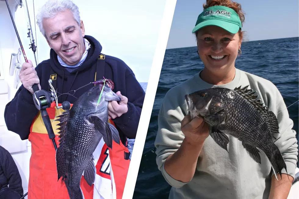 Sea Bass Season Opens Today