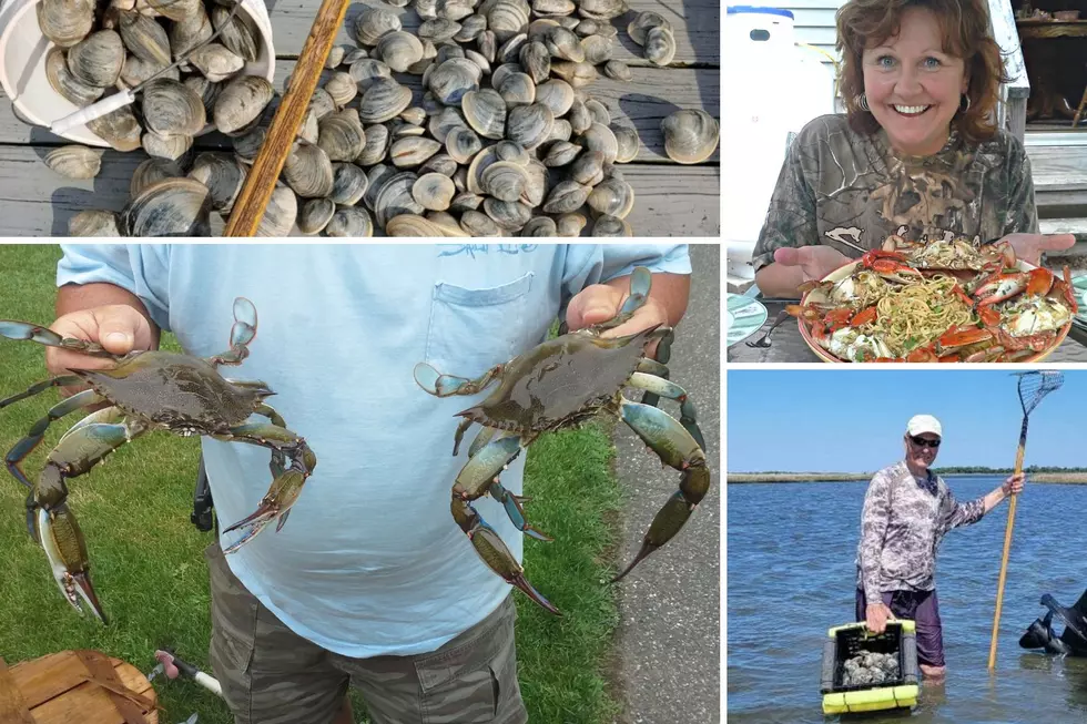 South Jersey Fishing: Crabs ‘n Clams for The Fourth Weekend