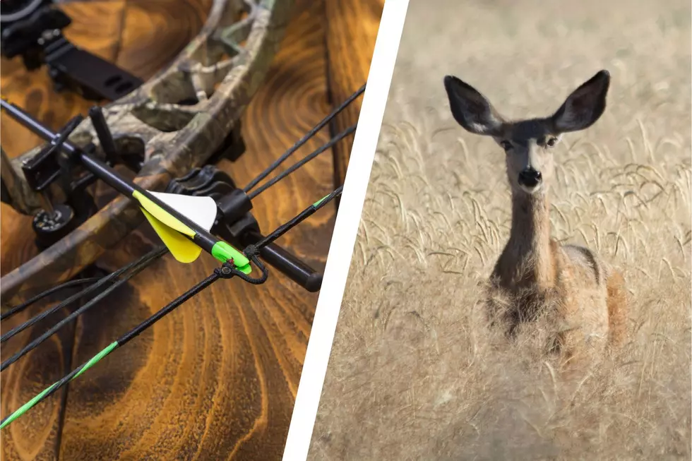 Early Bow Season Time For Meat&#8230;and Racks