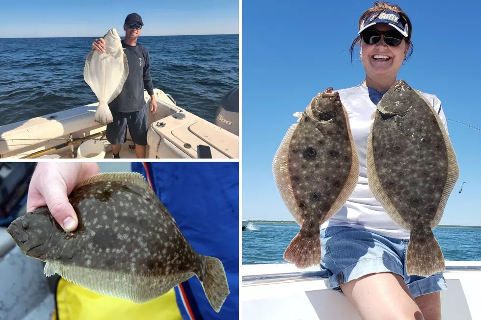South Jersey Fishing: Last Shots at Fluke Back to the Front