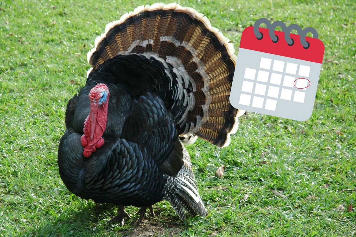 South Jersey Hunting Fall Turkey Season Opens Saturday in NJ