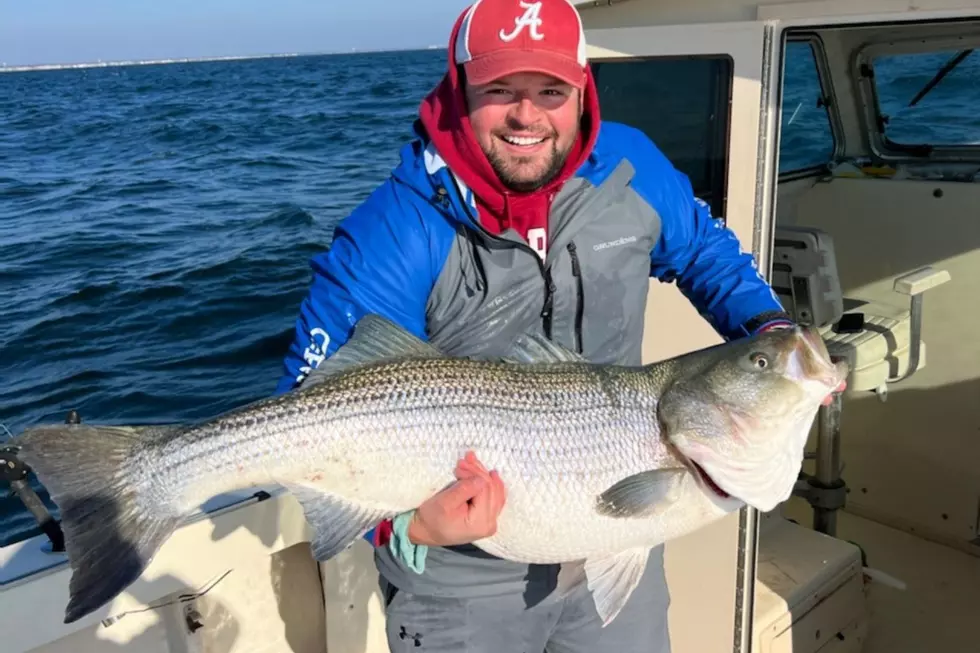 South Jersey Fishing: Roll With the Troll