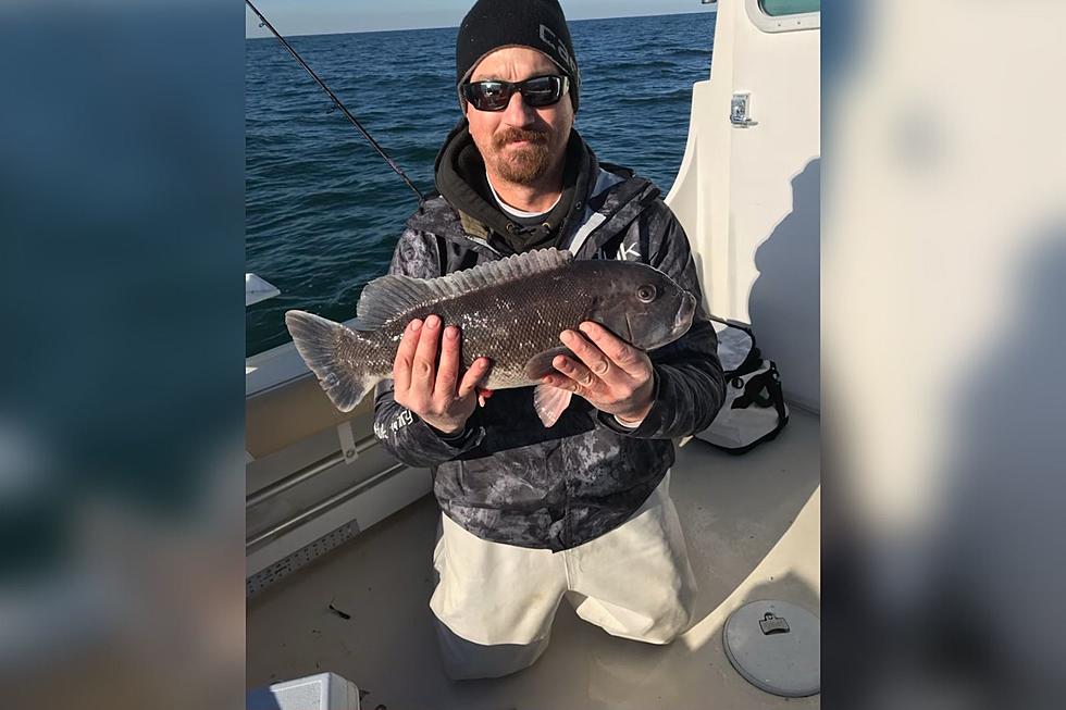 South Jersey Fishing: Last Chance Tog