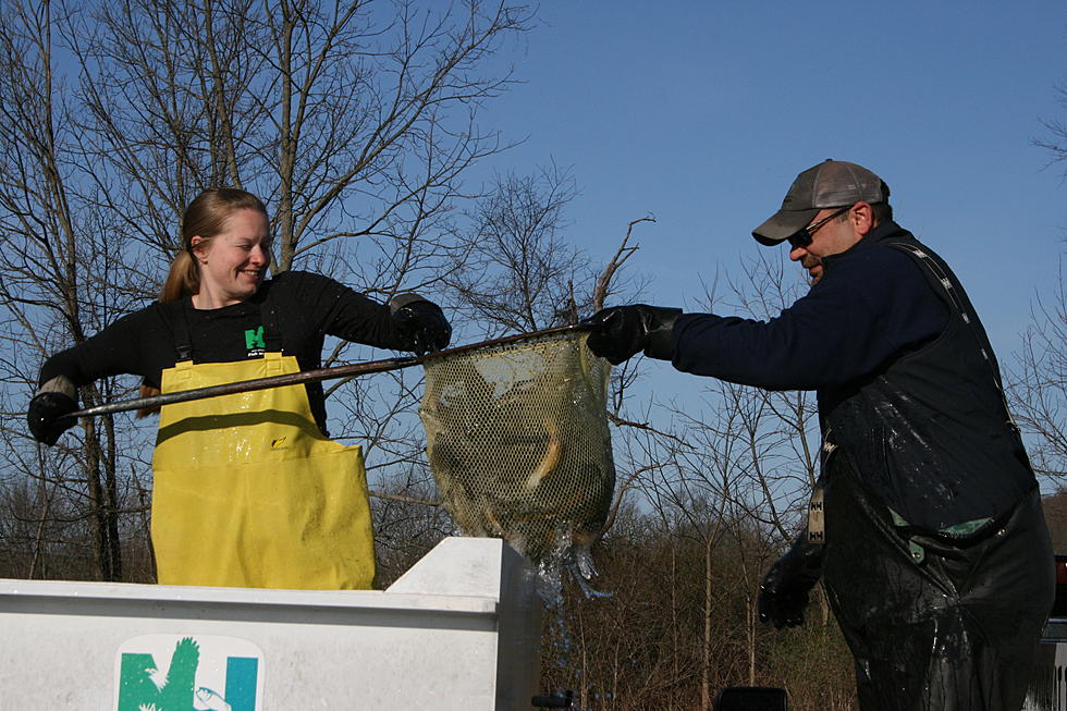 New Jersey Trout Season Opens Saturday