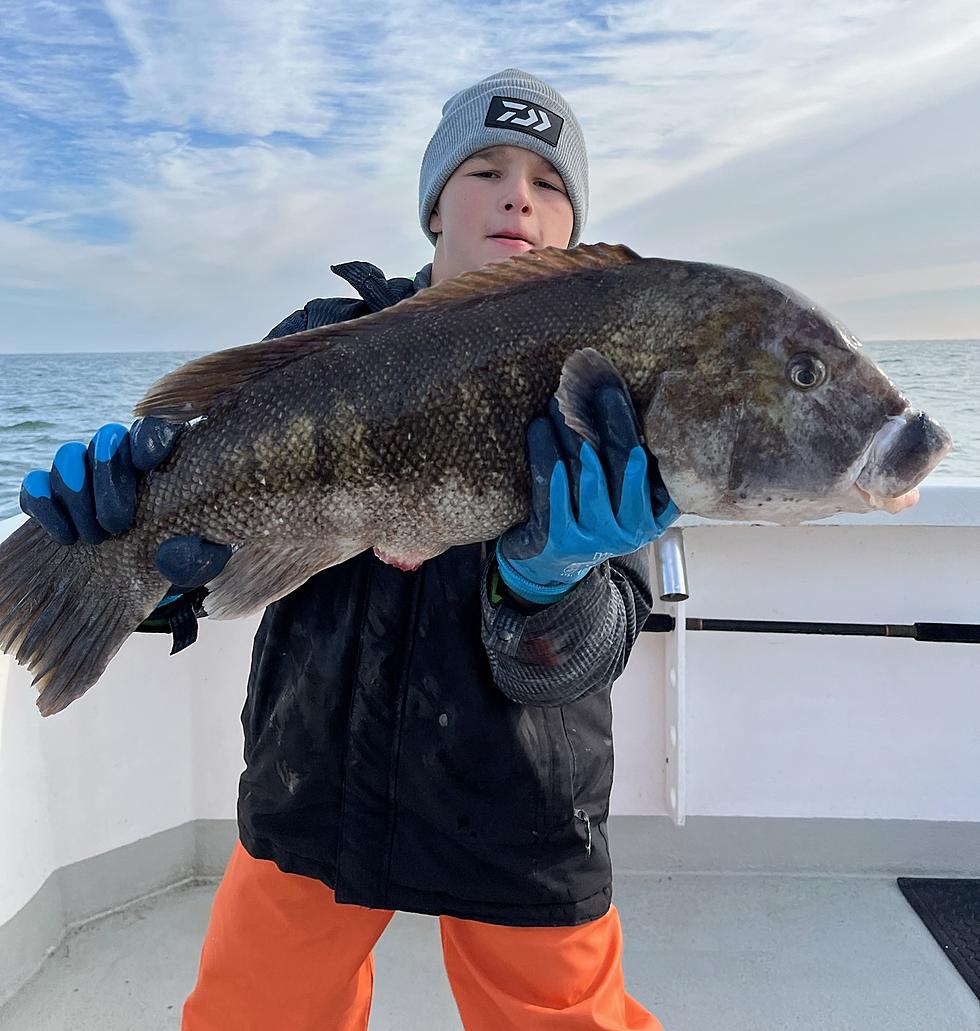 South Jersey Fishing: Ferocious Tog Bite to Close Out the Season