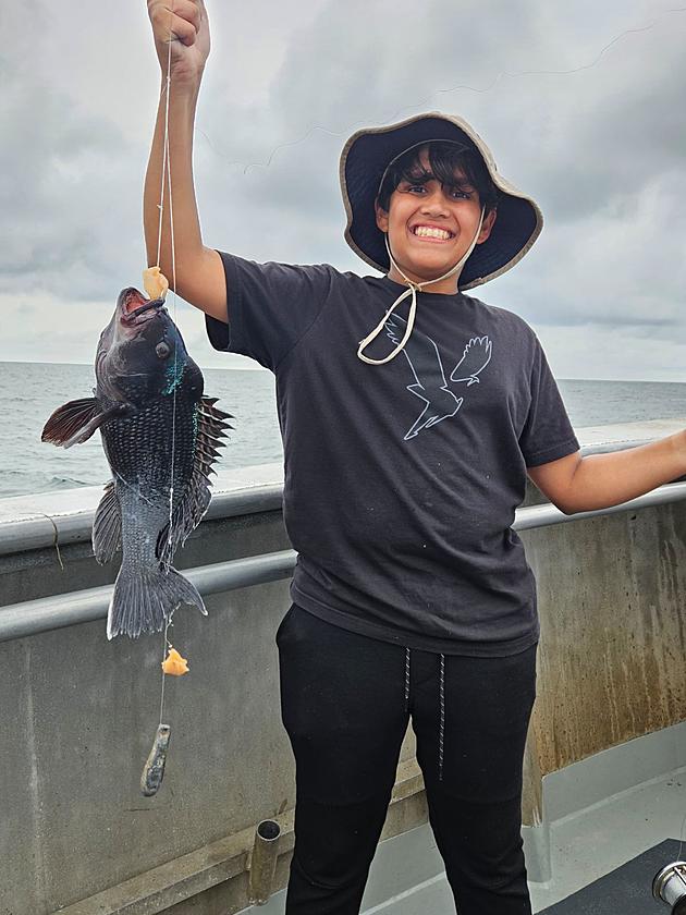 South Jersey Fishing: Black Sea Bass Season Reopens October 1