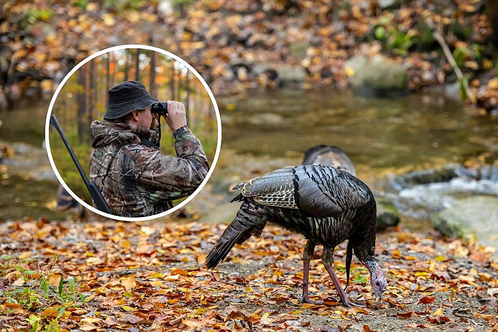 Fall Turkey Season Opens Saturday