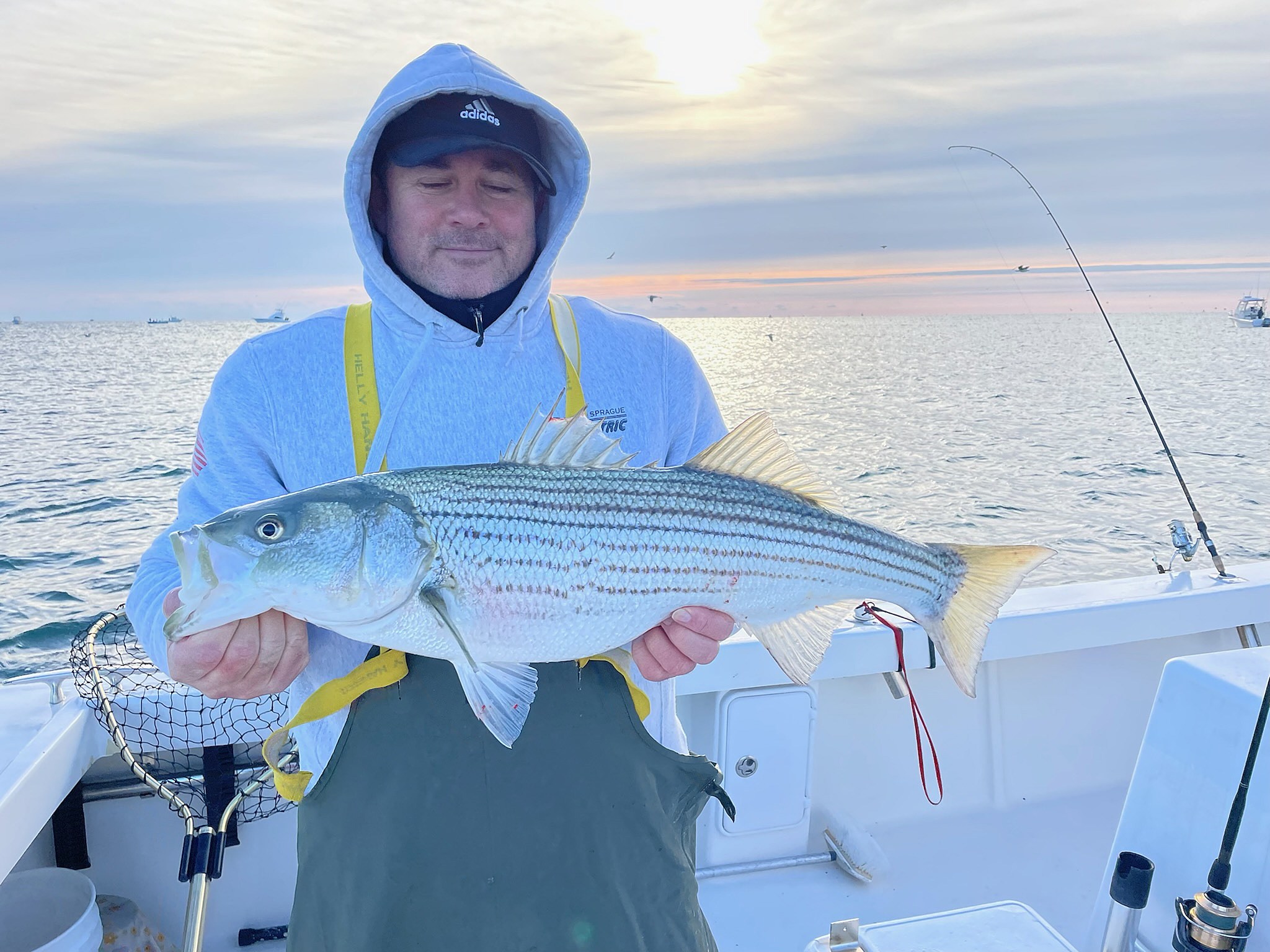 Crazy striper bite in New Jersey right now