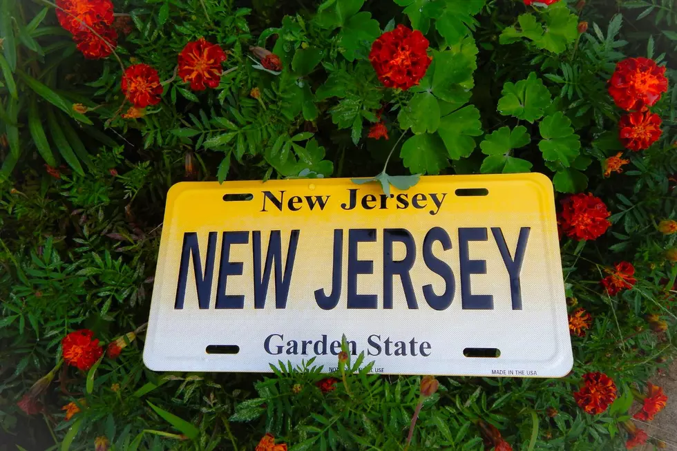 New Jersey License Plate