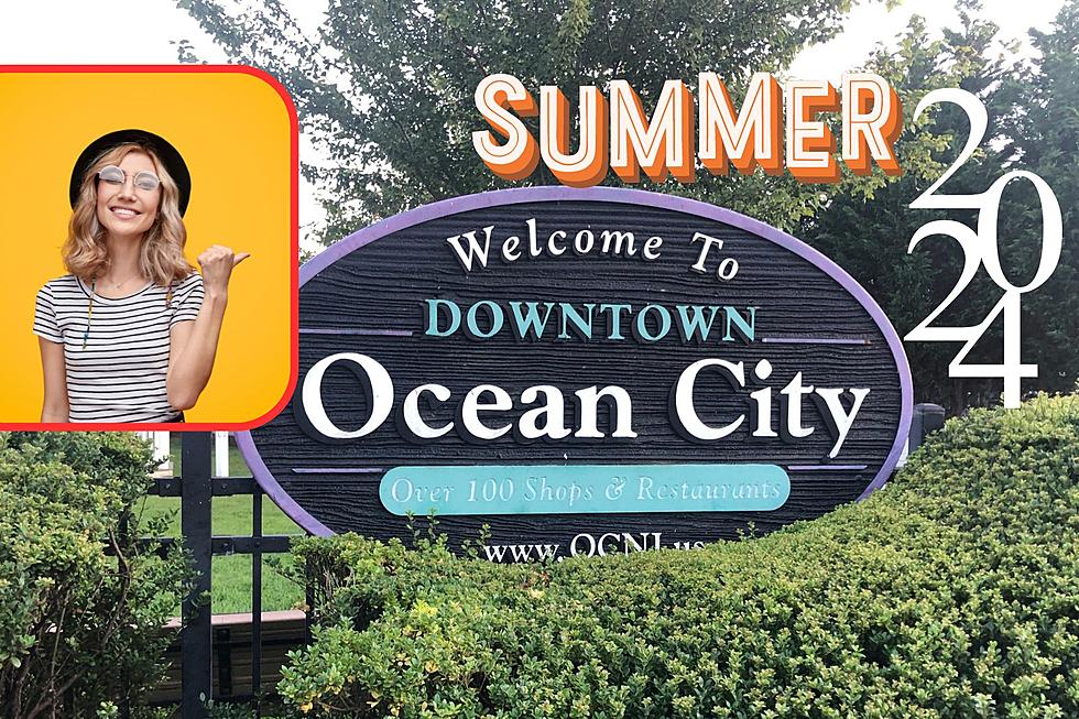 New Shows Added To Ocean City 2024 Summer Concert Series