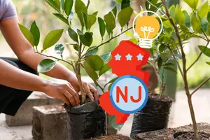 This South Jersey Town Finding New Ways To Be Green