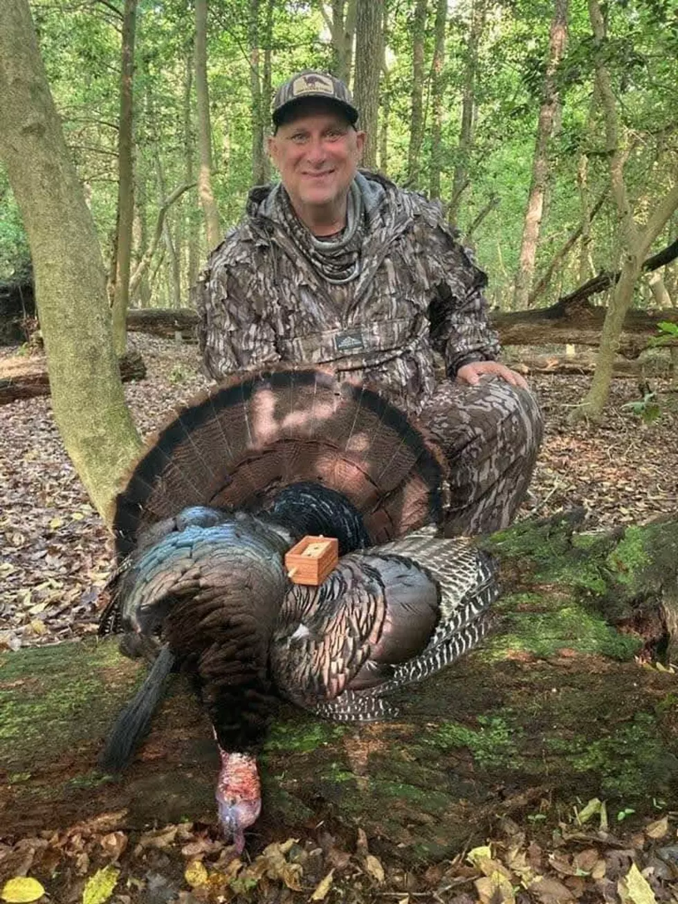 turkey hunting