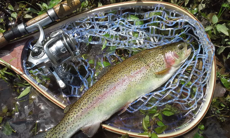 NJ Fall Trout Stocking Schedule Revised