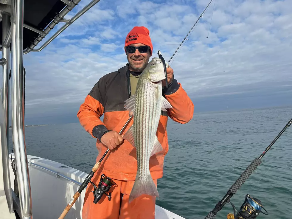 Striper Action in Late Season Speed Mode