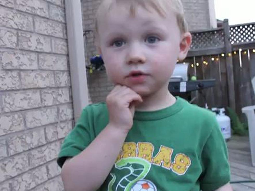Aww! Little Boy Has Adorably Naive Reaction to Bug Stuck in Spider Web [VIDEO]