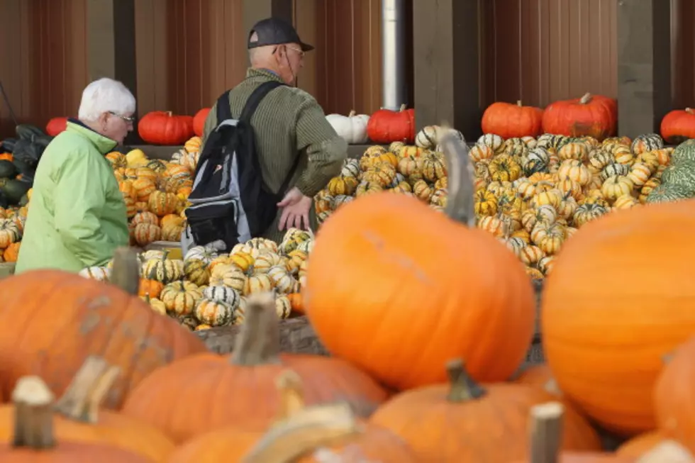 Pumpkin Prices On The Rise