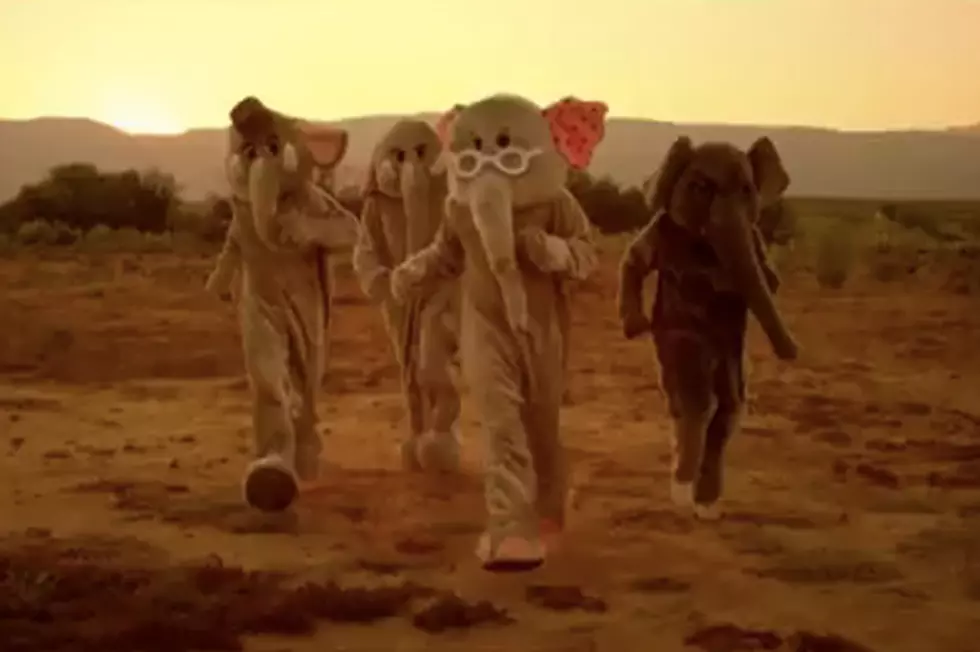 Coldplay Releases ‘Paradise’ Video With Elephants [VIDEO]