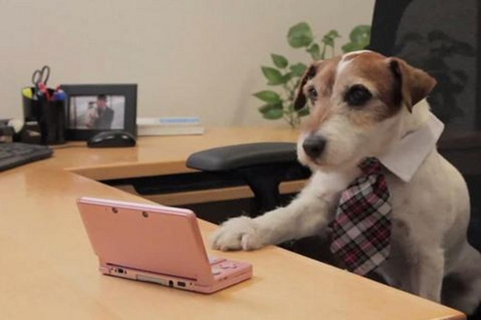 ‘The Artist’ Star Uggie the Dog is the New Nintendo Spokesdog