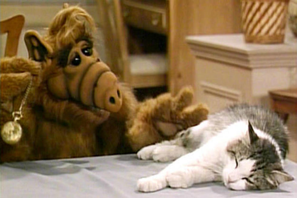 The Guy Who Made ‘Alf’ Thinks We’re Ready For an ‘Alf’ Movie