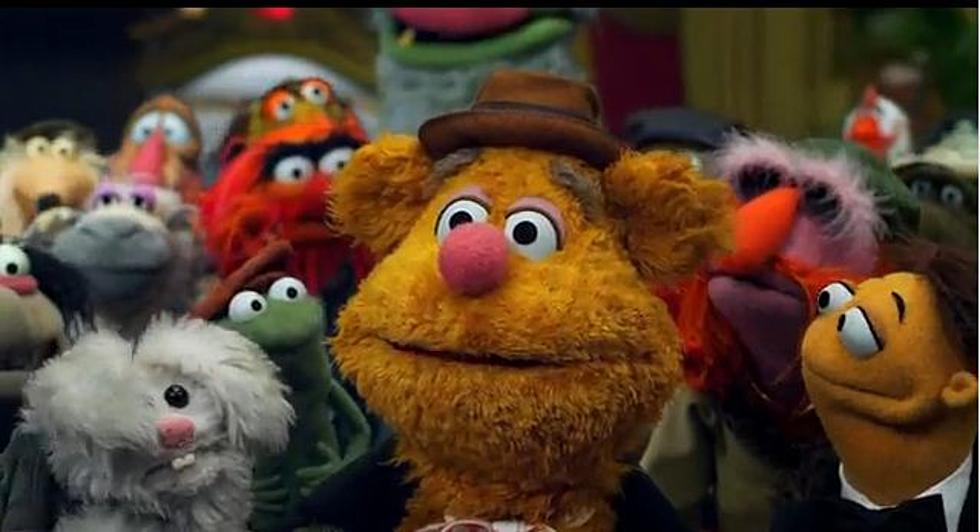 The Million Muppet March Heading To Washington [VIDEO]