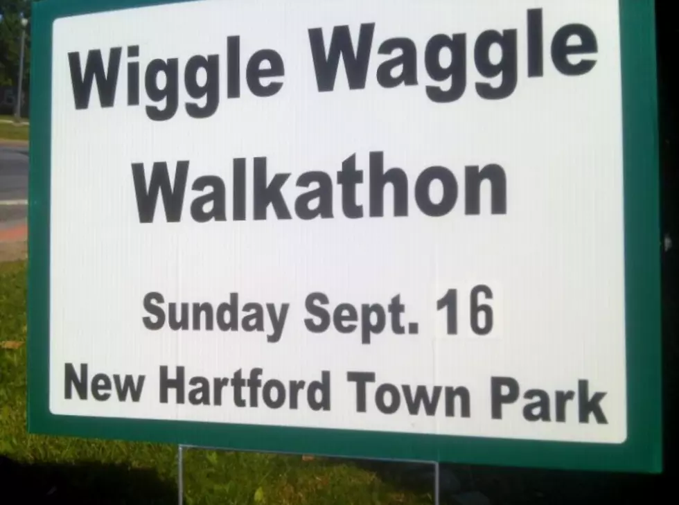 This Sunday Wiggle Waggle Your Pet Or A Shelter Dog