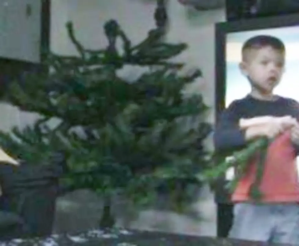 Watch Mark and His Son Dylan Put Up a Christmas Tree [VIDEO]