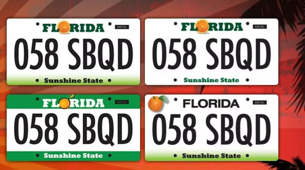 Vote for Florida’s New Licence Plate Tag