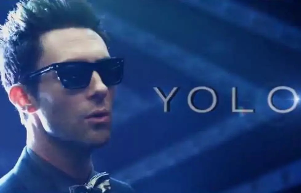 Adam Levine And Kendrick Lamar Join Returning Andy Sandberg For A New Digital Short &#8216;YOLO&#8217; On SNL