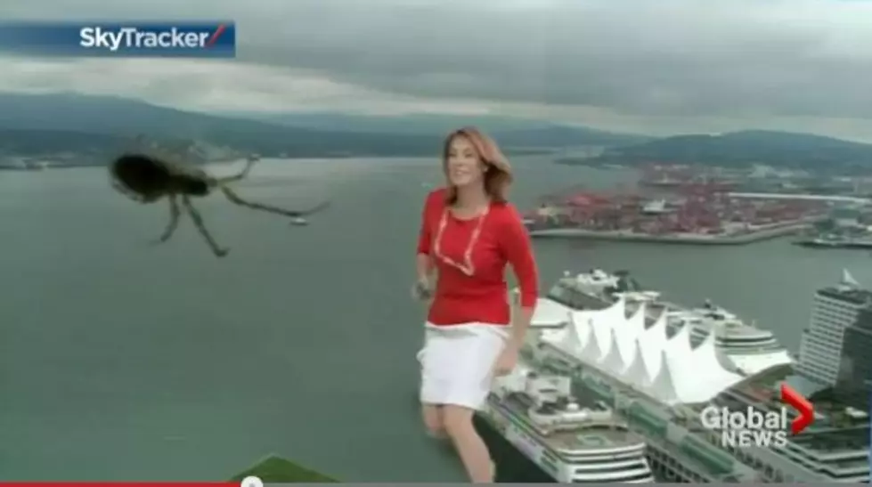 Watch This Meteorologist Get Scared by a Spider and Run Off Screen [VIDEO]