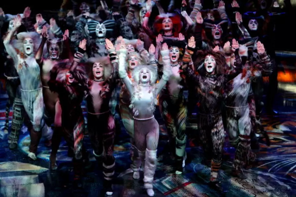 Taylor Dayne Will Star In “CATS” at The Merry-Go-Round Playhouse in Auburn This August
