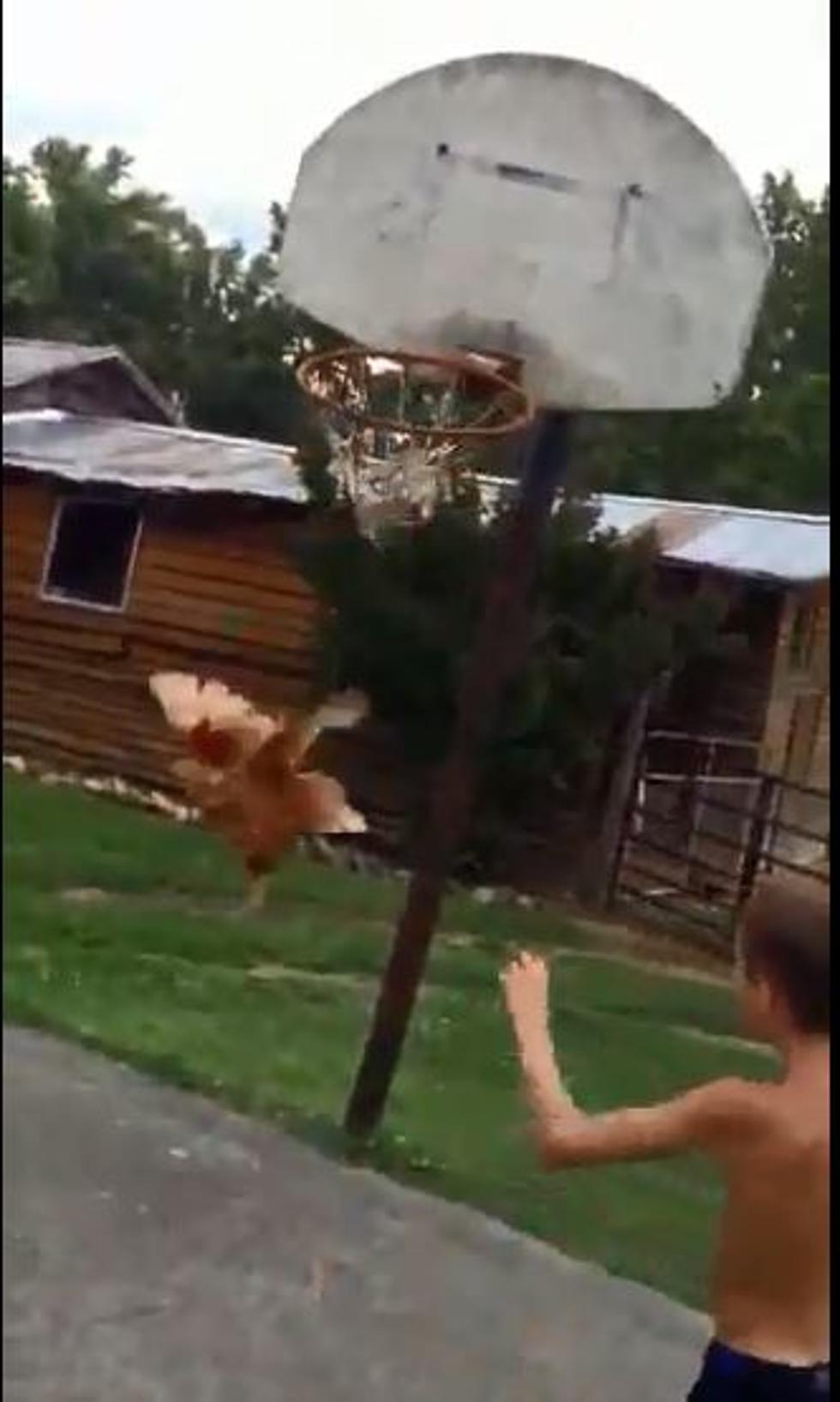 This Shirtless Kid Tosses a Live Chicken Through a Basketball Hoop [VIDEO]