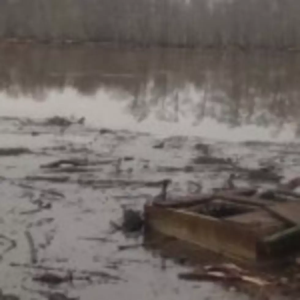 Video: Giant Sinkhole Swallows Trees In Louisiana