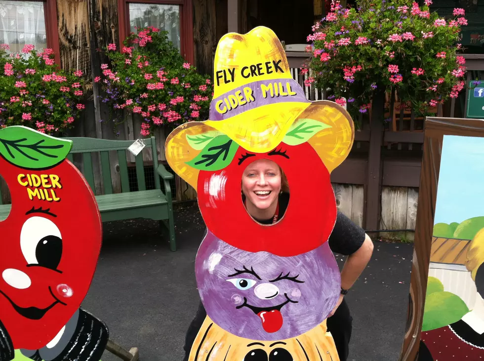 Fun Year Round  At The Fly Creek Cider Mill