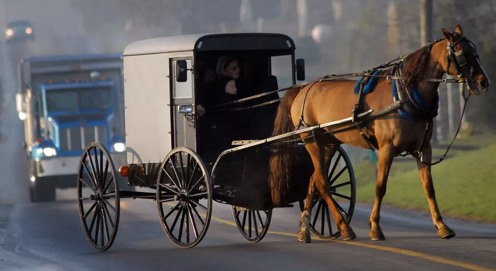 We Can Learn a lot From The Amish Who Rarely Get Sick