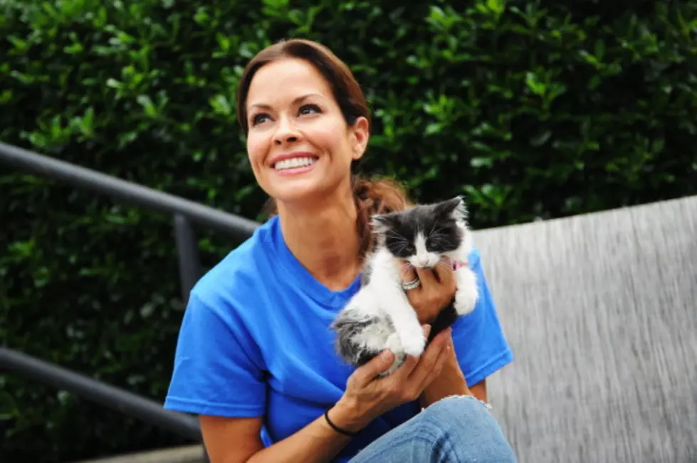 Are Cat Lovers Really Smarter Than Dog Lovers?  New Study Says They Are [VIDEO]