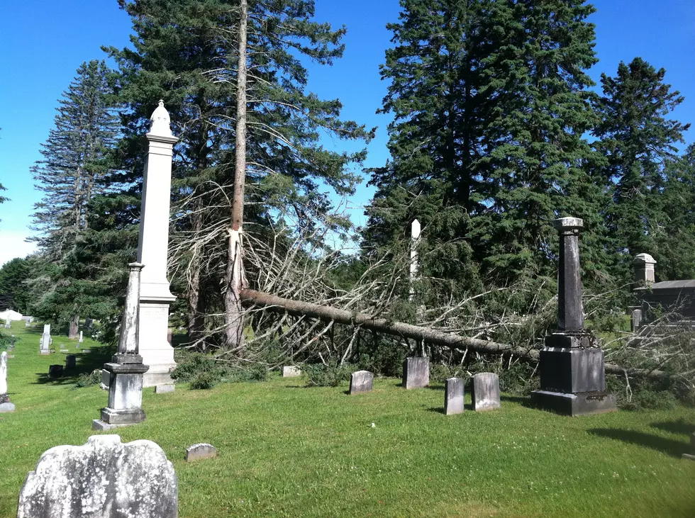 Storm Damage at Salisbury Cemetery [PHOTO + VIDEO]