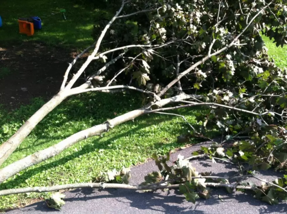 Storm Damage In The Utica Area From July 8, 2014 Storm-Trudy&#8217;s World [VIDEO]