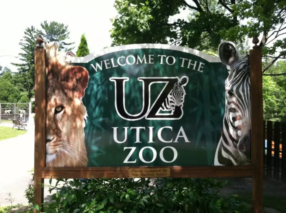 Stop By The Utica Zoo This Sunday, July 20th For Free Admission And Their 100th Birthday Party
