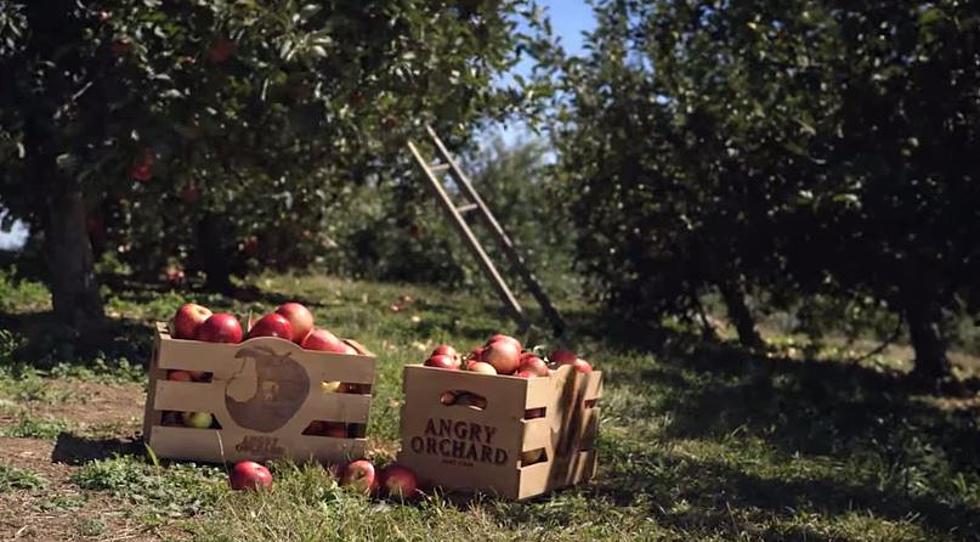 Tour Angry Orchard in NY